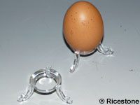Présentation d'un œuf sur le socle de 30mm à boule 