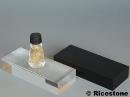 Socle présentoir acrylique pour collection, noir et transparent