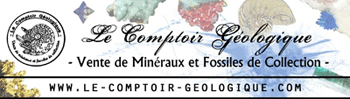 4) le comptoir gologique