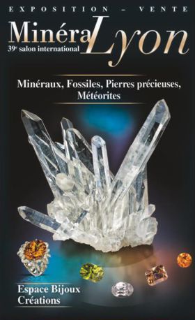 BOURSE AUX MINERAUX DE LYON 2014