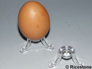 Présentation d'un œuf sur l'anneau à pied de 22mm