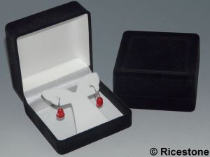 8c) Ecrin cadeau Boucles d'oreille.