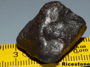 Météorite, Chondrite NWA, 15,75g