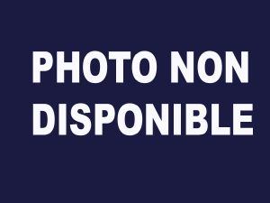 5a) Flat carton 27x39x6 cm <B>AVEC</B> boites pour minéraux