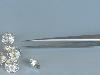 9a) Pince brucelles SIPEL droite. Longueur 14 cm