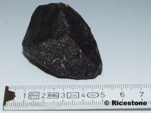 Météorite, Chondrite NWA, 73,5g