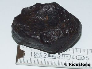 Météorite, Chondrite NWA, 73,6g