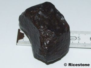  Météorite NWA<BR>Chondrite 87,1g