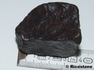  Météorite NWA<BR>Chondrite, 73,3g