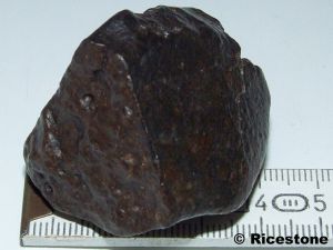  Météorite NWA<BR>Chondrite, 77,6g