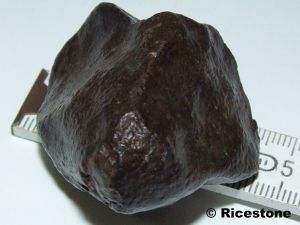 Météorite, Chondrite NWA, 59,1g