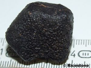 Météorite, Chondrite NWA, 20,5g