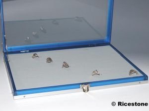 2a) Coffret 100 bagues, Présentoir corps bleu, 25x35 cm 