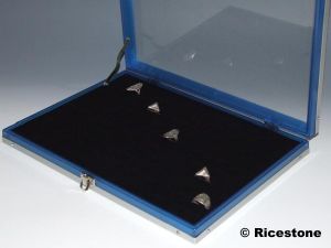 2a) Coffret 100 bagues, Présentoir corps bleu, 25x35 cm 