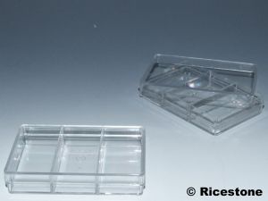 7) 12x Boites Plastique 65 x 99 x 20, transparente; 3 compartiments.