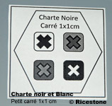  Charte noir et blanc de mesure 1x1 cm