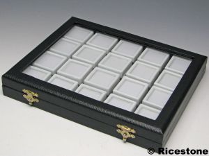 1) Coffret vitré pour 20x boîtes à gemmes, dessus verre 3x3.