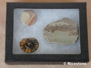 4a) Coffret économique<BR>Boîte "Riker" 8x11 cm