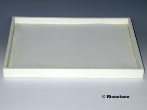 2a) Plateau plastique 21 x 17 blanc  pour pierres taillées 
